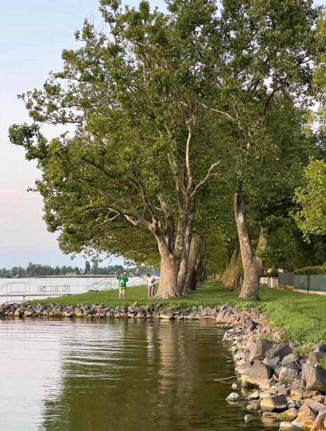 Rózsa nyaralóház Balatonboglár Exterior foto