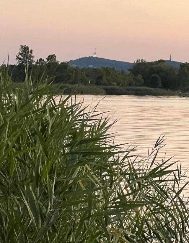 Rózsa nyaralóház Balatonboglár Exterior foto